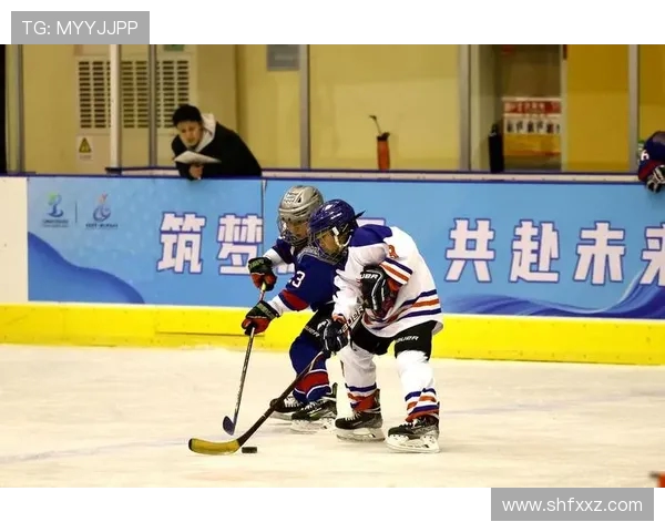 冰球比赛身体对抗激烈的运动魂
